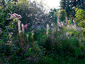 Ende August: Herbststimmung