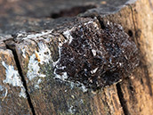 Ende August: Herbststimmung