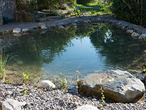 Einlaufstein beim Gartenweiher