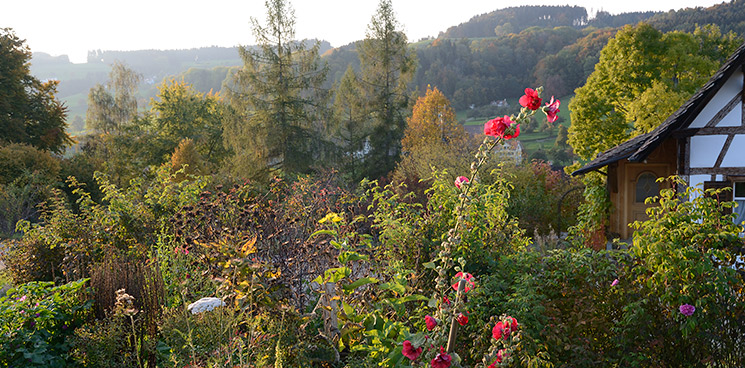 Herbstfarben im Naturgarten