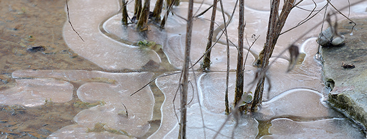 Eis auf Weiher