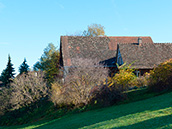 Haus mit Wildsträucherhecke