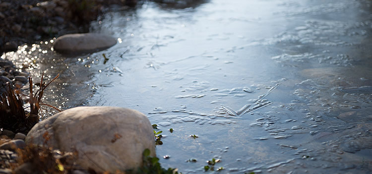 Eisnadeln auf dem Teich