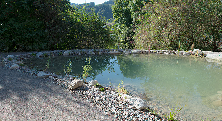 Gartenteich, 30 m2 gross