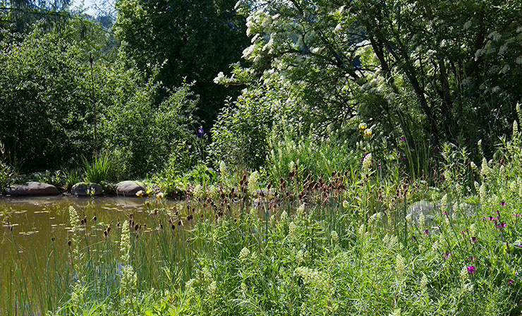 Teich mit blühenden Sträuchern und Stauden