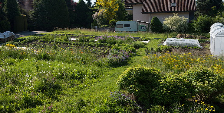 Gemüsegarten von oben