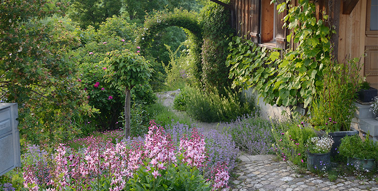 Rosenbogen mit Kiesweg