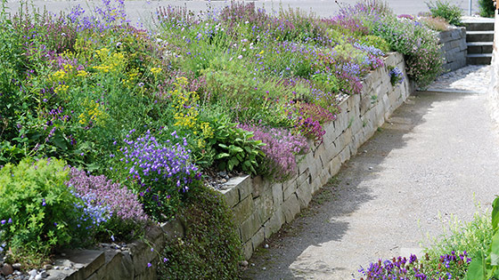 Trockenmauer aus Sandstein